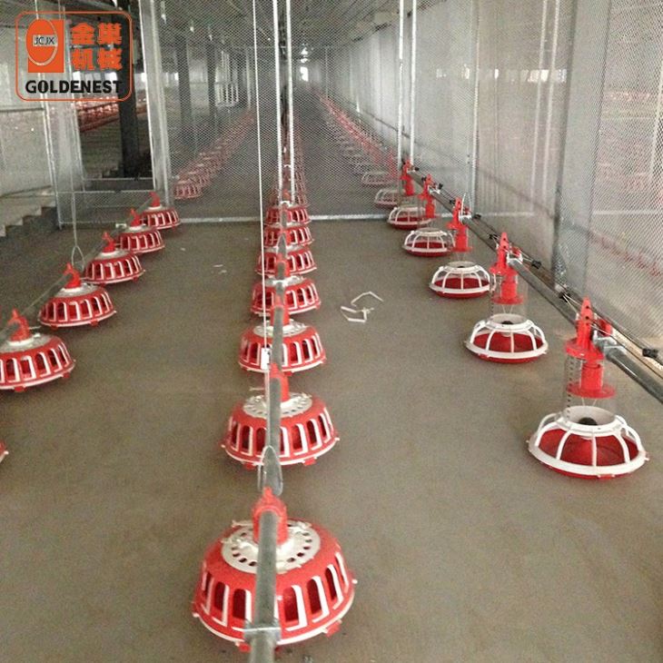 Automatic Breeder Feed Chain Equipment System